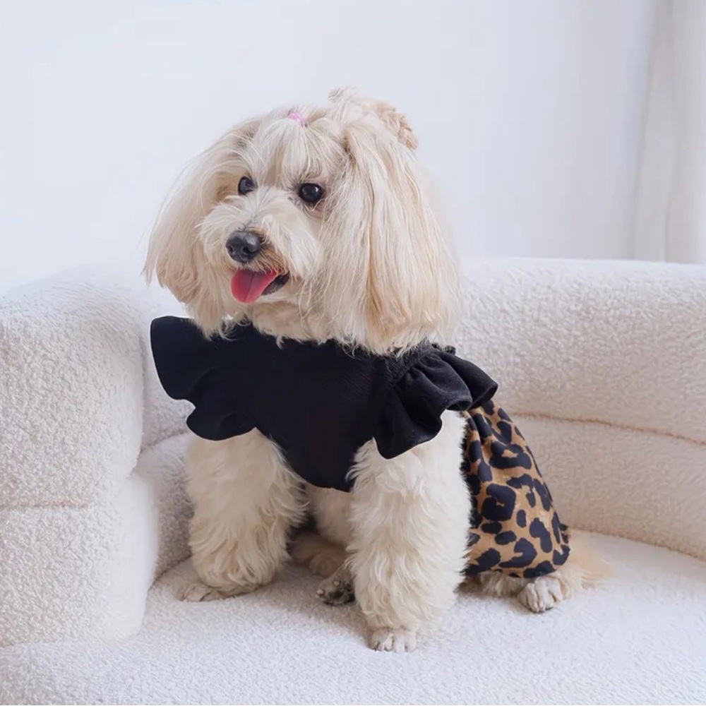 Leopard Print Pet Dog or Cat Dress - Picture 5 of 9